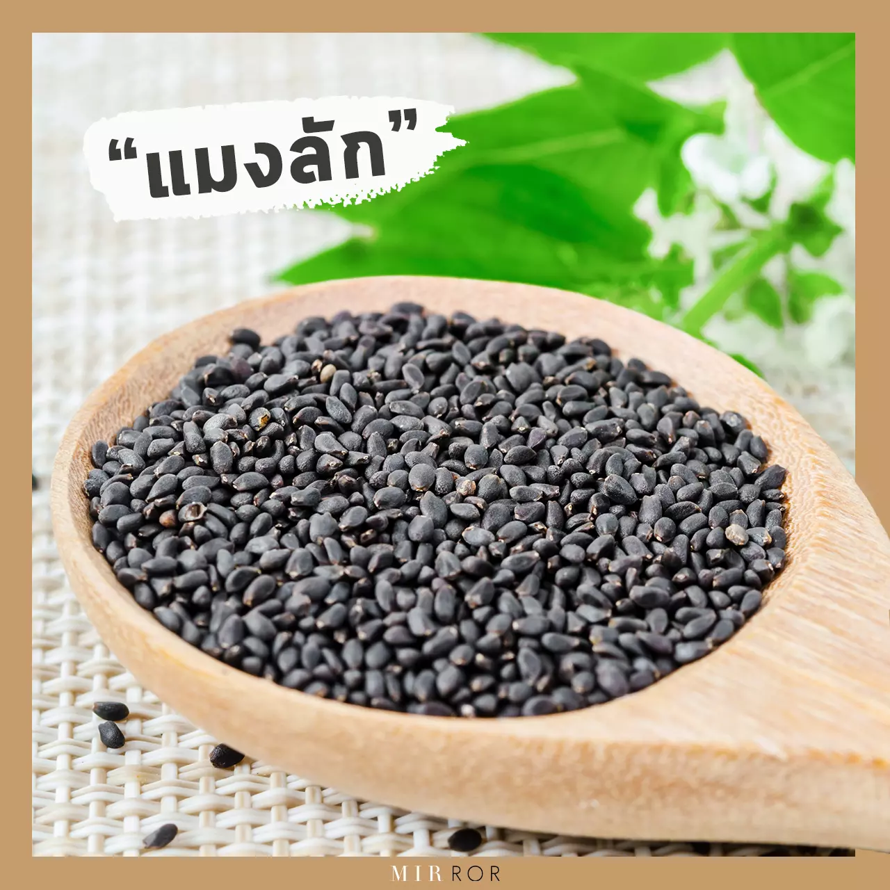 "ลดน้ำหนัก" ด้วย 10 "สมุนไพร" สรรพคุณที่ทำให้ผอม