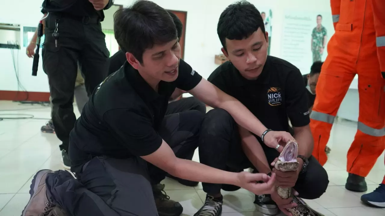 เปิดใจยูทูบเบอร์อสรพิษวิทยา เจาะลึก “งูเห่าภูเขา” งูชนิดใหม่ ขี้อาย พ่นพิษ!