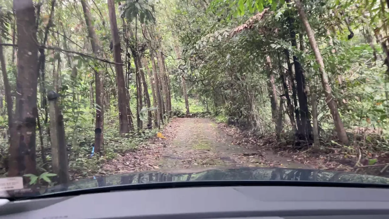 เที่ยวเกาะช้างหน้าฝนในรถ EV จุดชาร์จมี ซีฟู้ดอุดมสมบูรณ์ แต่มันจะเปียกปอนหน่อย