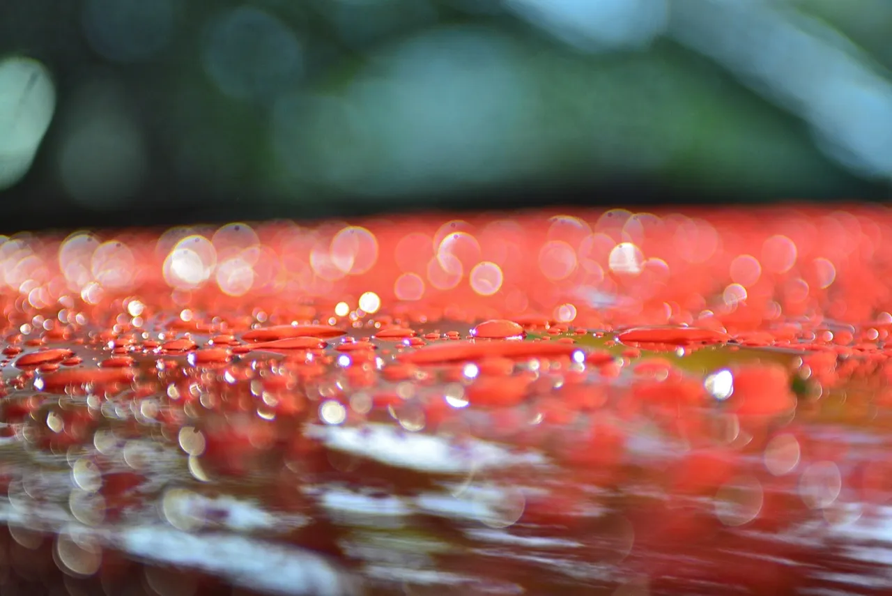 เที่ยวสงกรานต์อย่าลืมดูแลสีรถของท่าน คราบแบบไหนต้องจัดการอย่างไร
