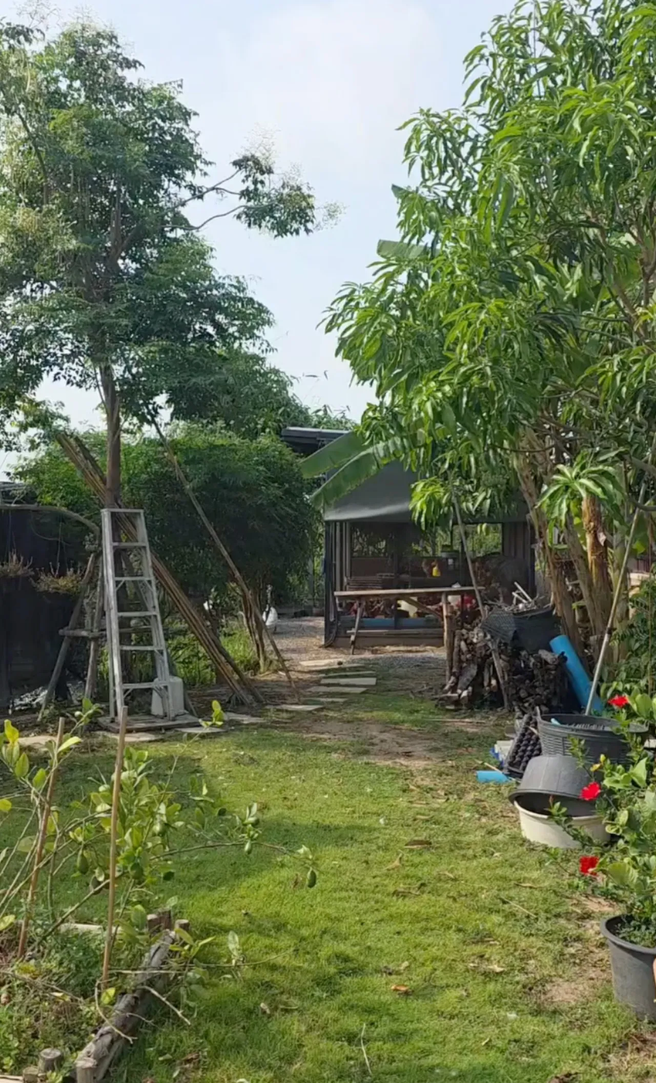 เปิดสวนคุณยายเจ๊เกล ชมพู่ อารยา พาลูกๆ ใช้ชีวิตบ้านๆ เก็บไข่ เก็บผักมาทำกิน