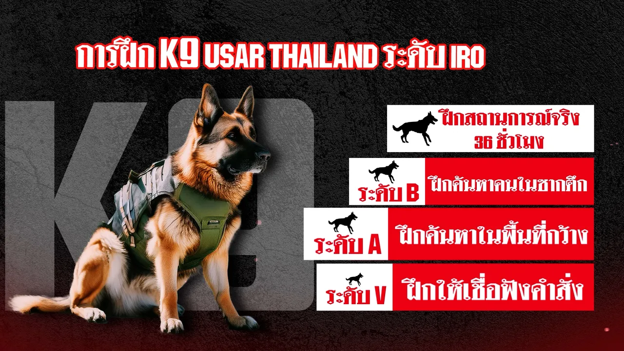 K9 ฮีโร่ 4 ขา สุนัขกู้ภัยระดับโลก ภารกิจค้นหาสุดแกร่ง (คลิป)