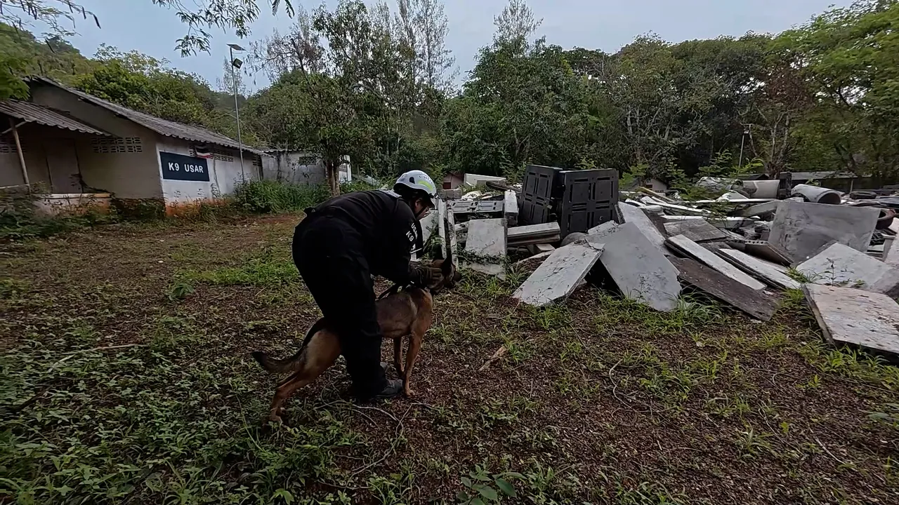 K9 ฮีโร่ 4 ขา สุนัขกู้ภัยระดับโลก ภารกิจค้นหาสุดแกร่ง (คลิป)