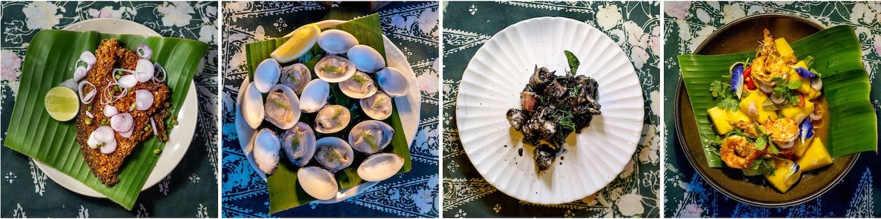 ถึงพะงัน