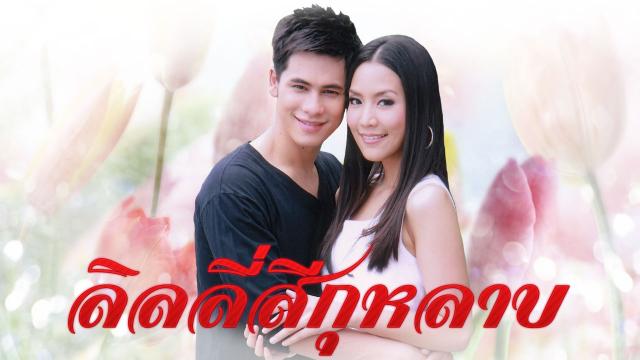 ลิลลี่สีกุหลาบ