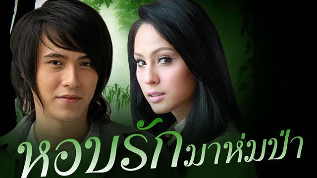 หอบรักมาห่มป่า