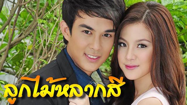 ลูกไม้หลากสี