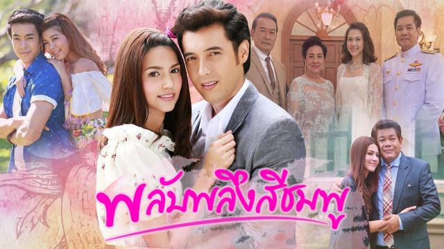 พลับพลึงสีชมพู