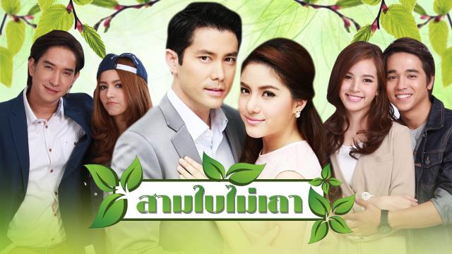 สามใบไม่เถา