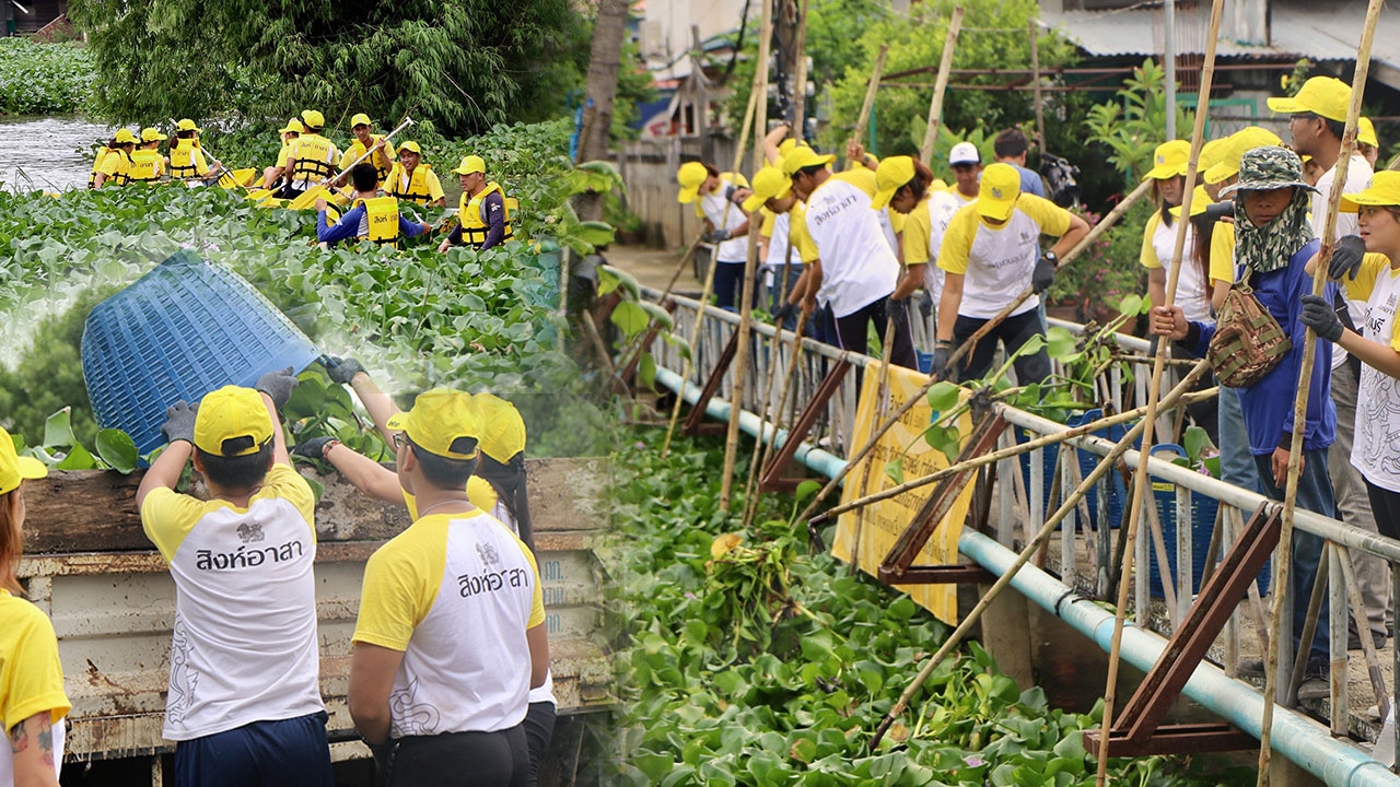 พลัง นศ.จิตอาสา ร่วมกำจัดผักตบ แก้น้ำท่วม รณรงค์ชาวบ้านตระหนักถึงปัญหา