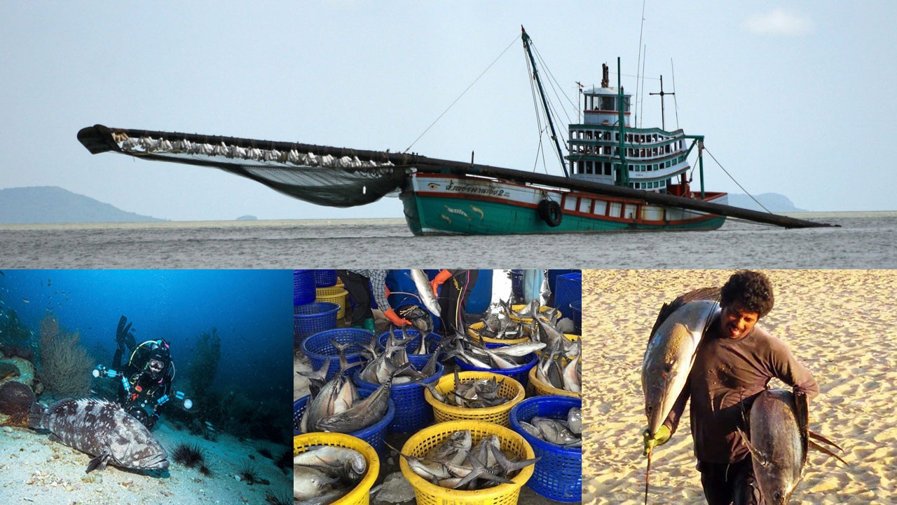 IUU Fishing คืนสุขท้องทะเลไทย