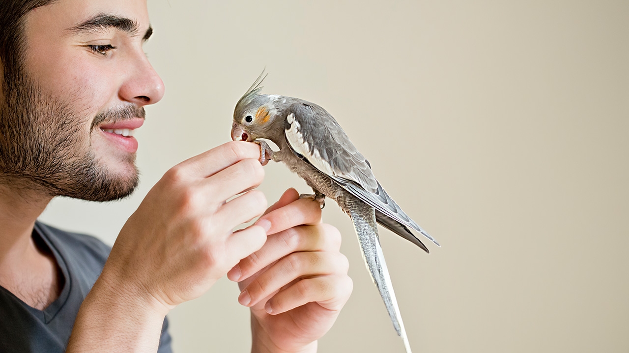 เลี้ยงสัตว์เพิ่มพลังดวง เงินไหลมาเทมา