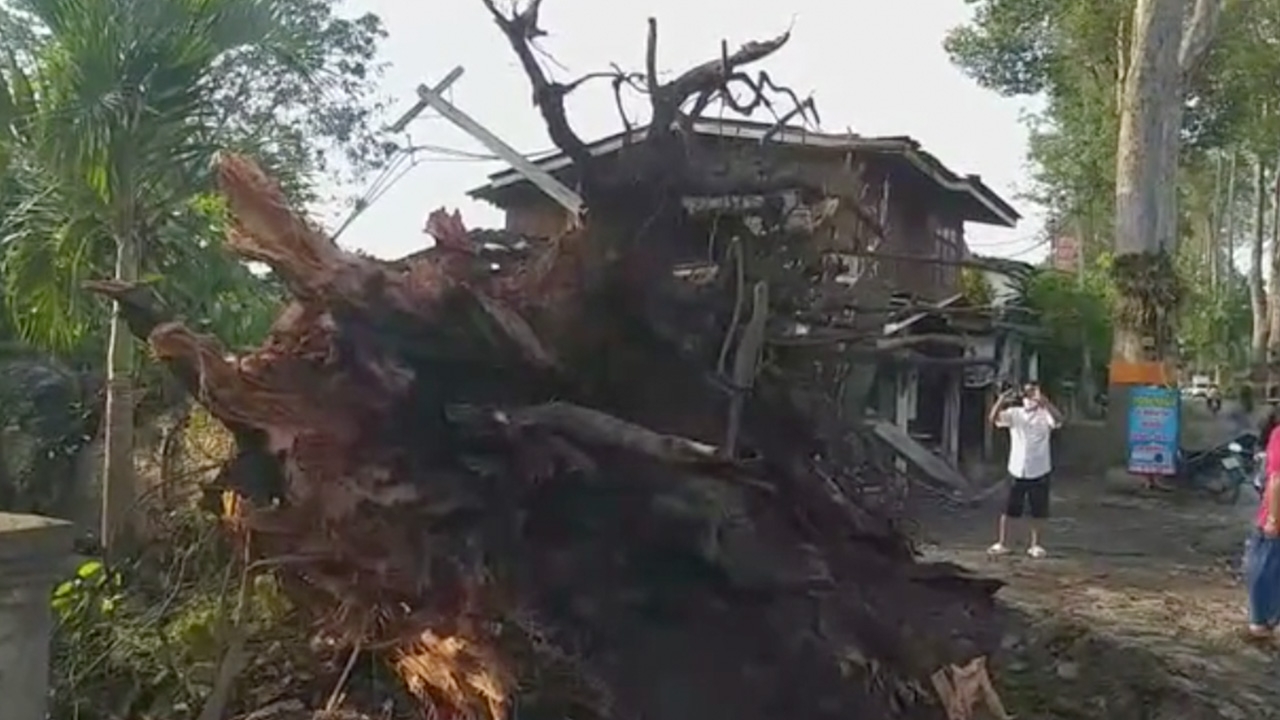 พายุฤดูร้อนถล่มเชียงใหม่ ‘สันกำแพง-สารภี’ อ่วม เสาไฟ ต้นไม้ล้ม-บ้านพัง