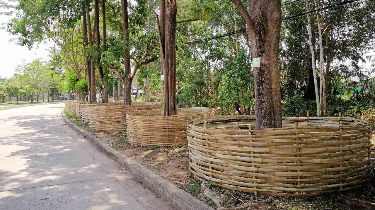 มองทั่วทิศเมืองไทย : เสวียนต้นไม้มัดรวมใจท้องถิ่น