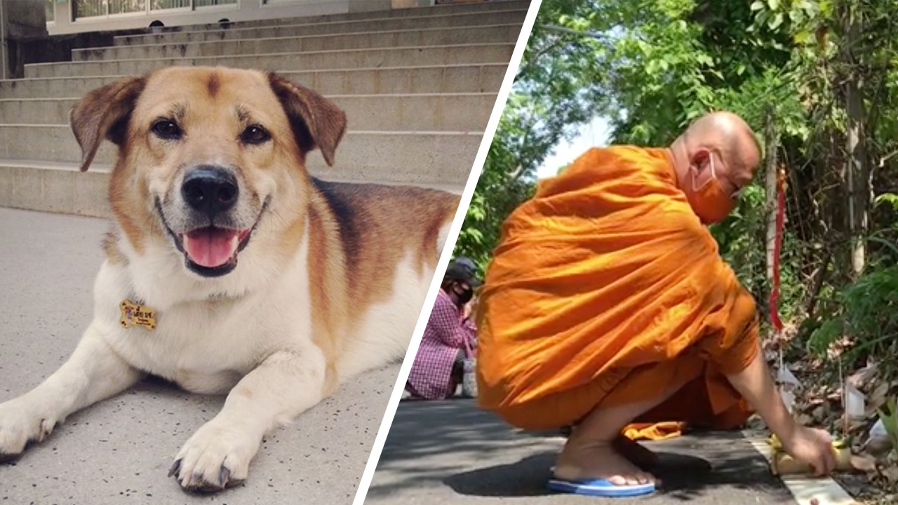 ออกแล้ว เผยผลชันสูตร "เตี้ย มช." ถูกกระแทกอย่างรุนแรงก่อนเสียชีวิต