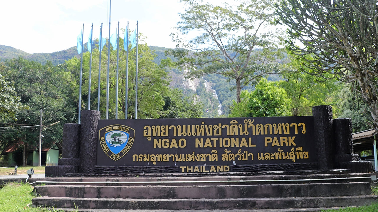 บุกจับหัวหน้าอุทยาน ตั้งวงก๊ง-ฝืน พ.ร.ก.ฉุกเฉิน