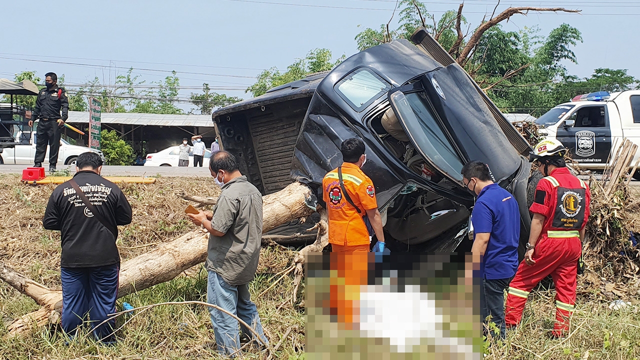 หนุ่มม้งซิ่งสังเวยศพสุดท้ายต้นสักอาถรรพณ์ชนหักโค่น ปิดตำนานเฮี้ยน!