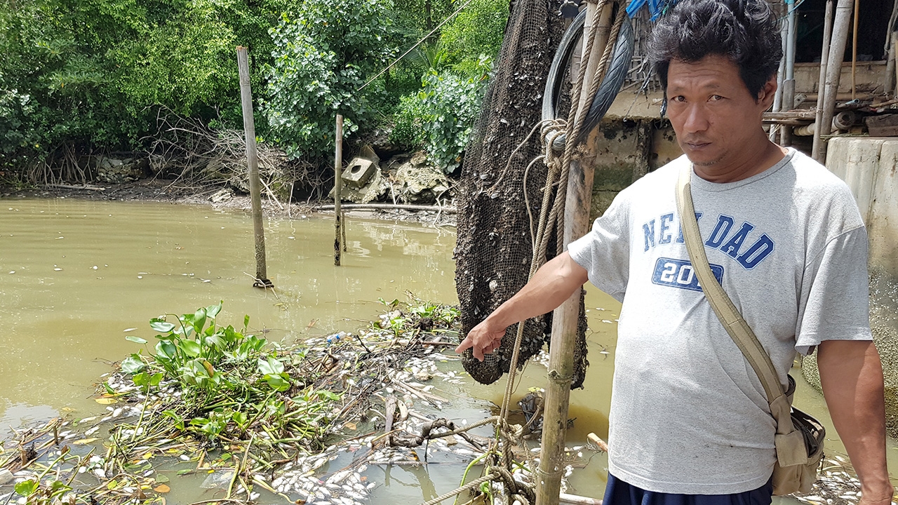 เร่งตรวจน้ำ ซากปลา หลังลอยตายเกลื่อนแม่น้ำประแสร์ ชาวบ้านโอดหากินไม่ได้