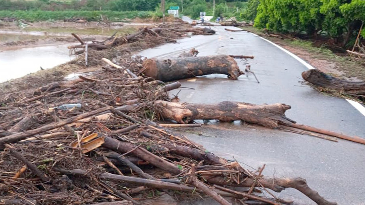 ฝนตกหนักมาก น้ำป่าหลาก "ห้วยแม่ขนาด" พัดท่อนไม้กองรวมจำนวนมาก