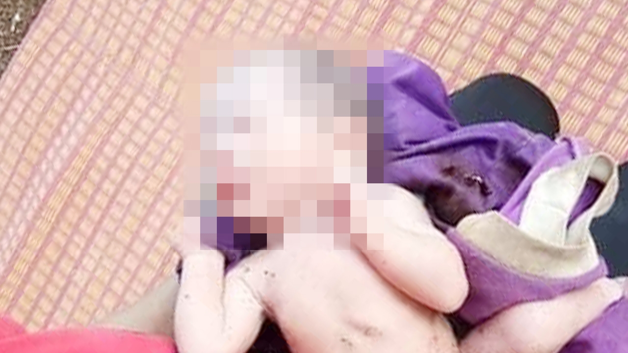 ทารกน้อยถูกทิ้งในป่า สายรกยังคา ร้องลั่นคนช่วย ชาวเน็ตแห่สาปแม่ใจยักษ์