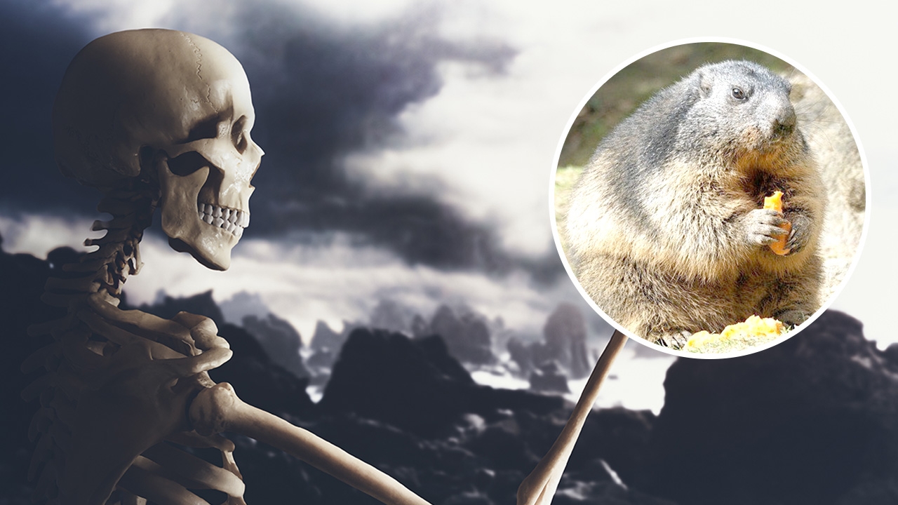 "Black Death" กาฬโรค…คืนชีพ