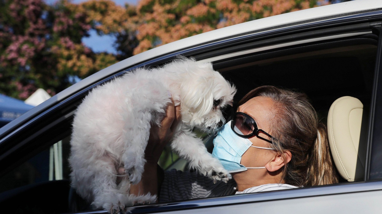 ทาสหมาแมวมีเฮ! WHO ยืนยันสัตว์เลี้ยงไม่แพร่เชื้อโควิด-19 สู่เจ้าของ