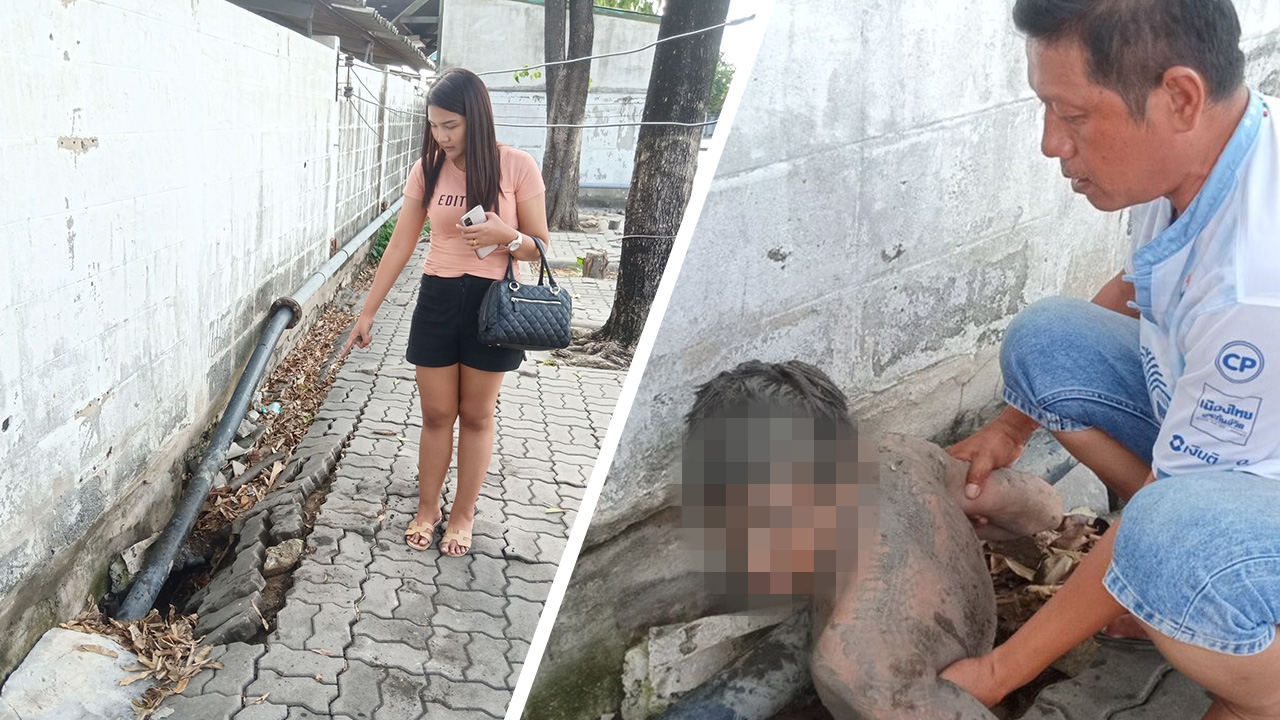 พี่สาวช็อกน้องชายหลอนคนตามฆ่า ปีนหลังคาโดดหนีลงคลอง มุดกำแพงหลบภัย