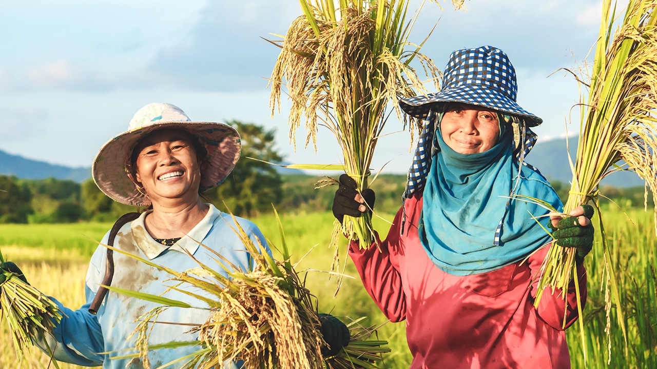 เยียวยาเกษตรกร เตือน 1.2 แสนคน แจ้งบัญชีภายใน 25 ก.ค. รับทีเดียว 15,000 ในเดือนนี้