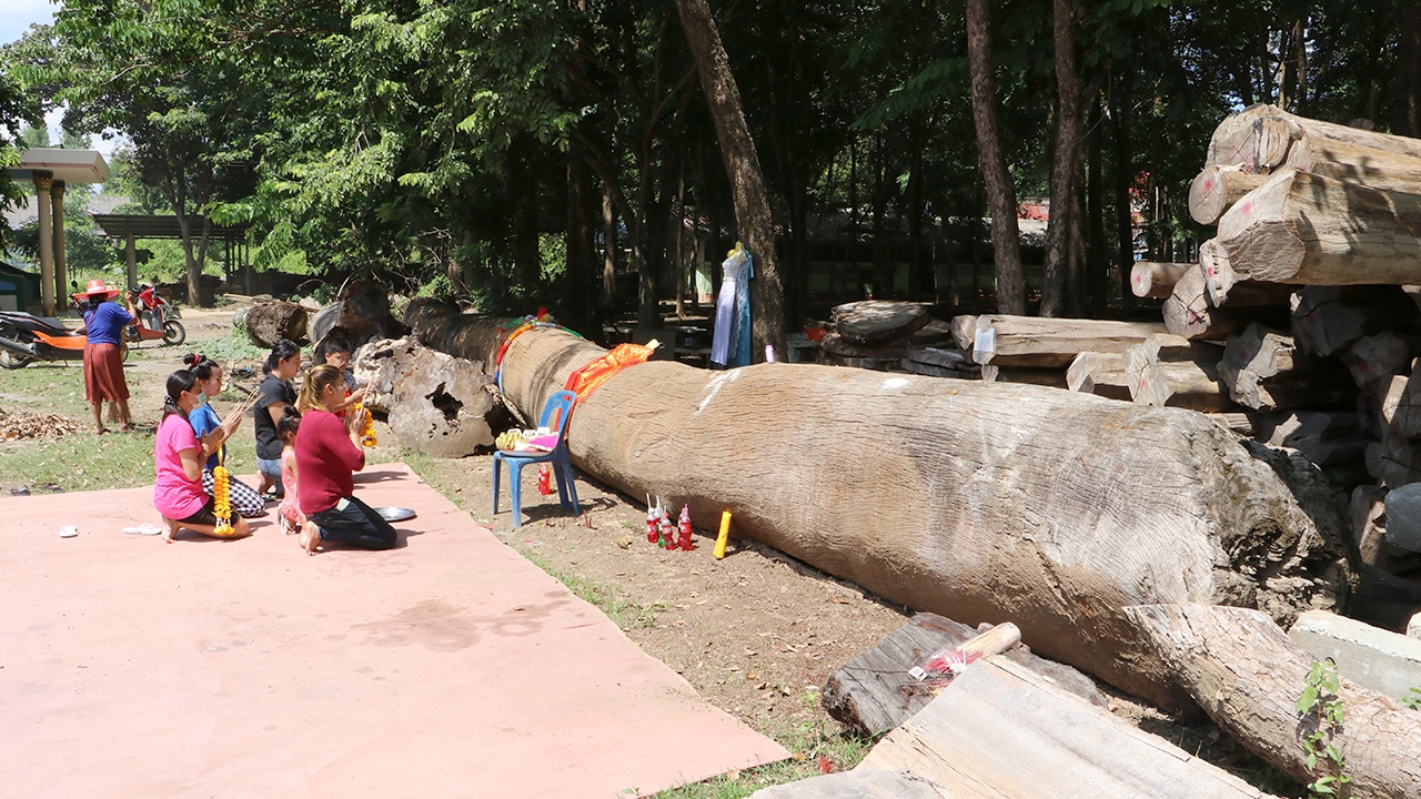 สาวหอบเครื่องเซ่น แก้บน "ตะเคียนทอง" สุดแม่นให้เลข เฮเกือบยกหมู่บ้าน