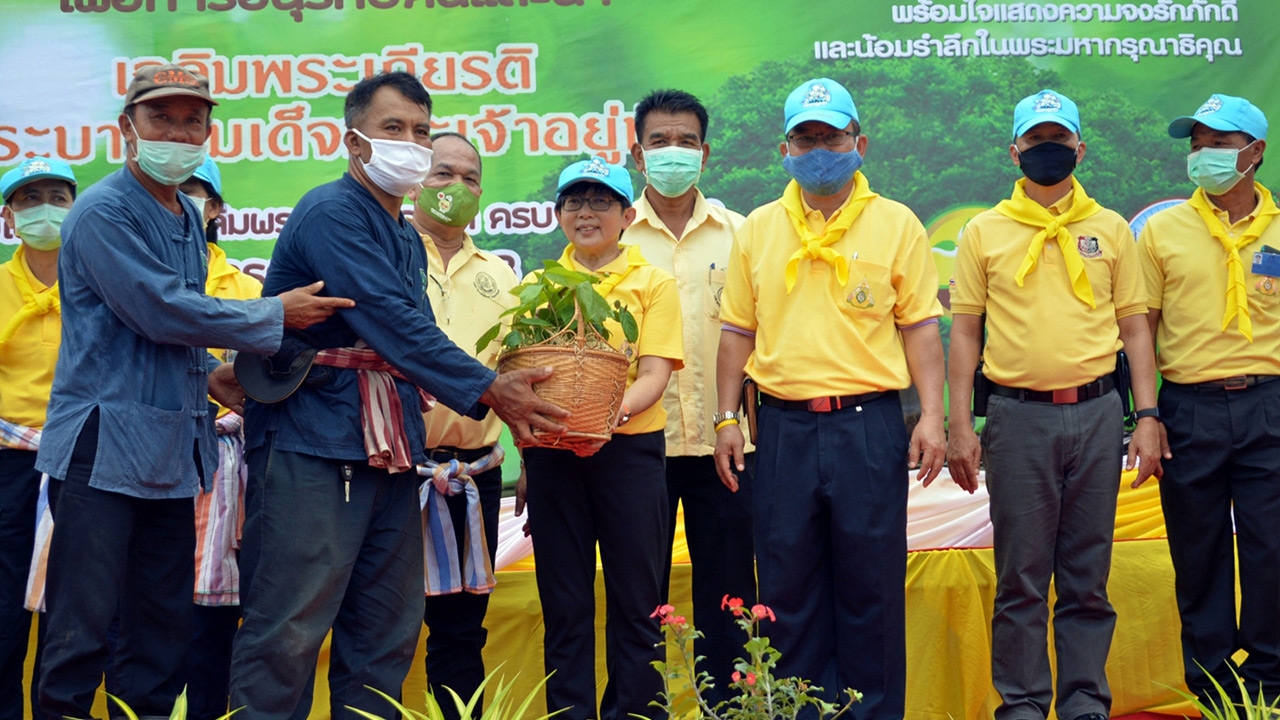 ปลูกป่า 1 ล้านต้นเฉลิมพระเกียรติ