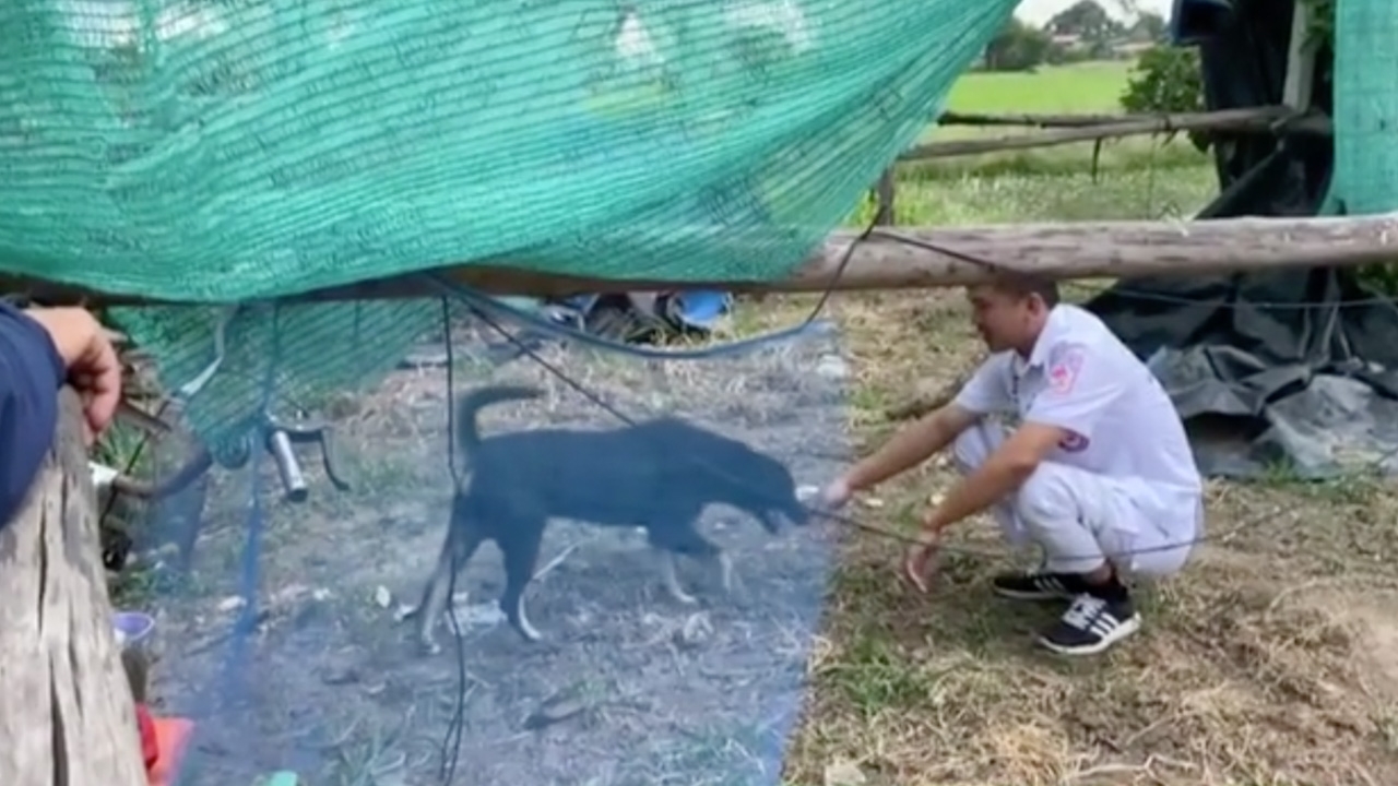 "เจ้าดำ" หมาผู้ภักดี นอนเฝ้าศพเจ้านายไม่ไปไหน พร้อมขู่ห้ามใครแตะ