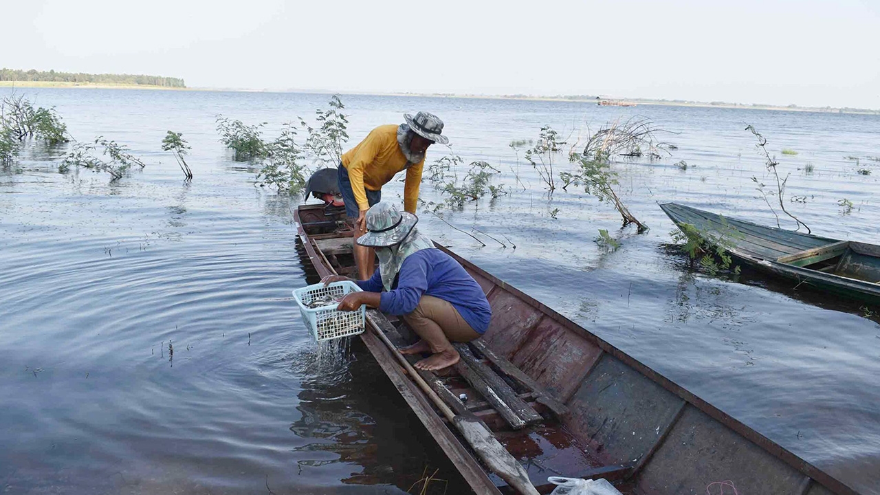 ชาวบ้านกาฬสินธุ์ลงจับในปลาเขื่อนลำปาว ส่งขายหารายได้ ช่วงว่างเว้นจากทำนา