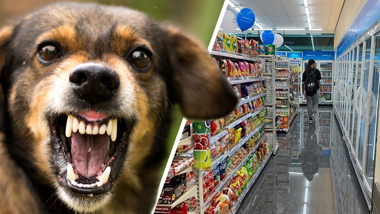 จ่าพิชิต เผย 2 เหตุผลที่ไม่ควรนำ "สัตว์เลี้ยง" เข้าร้านสะดวกซื้อ