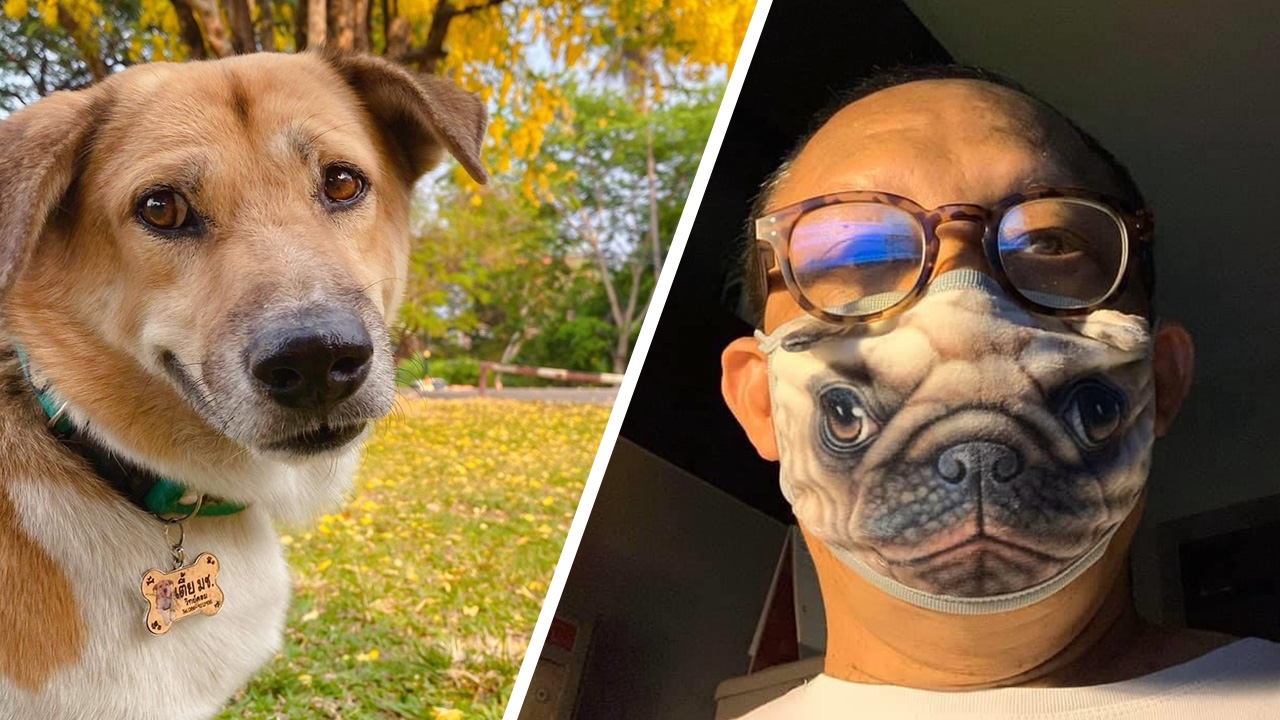 ไม่ออกมายอมรับผิด ดี้ นิติพงษ์ เรียกร้องดำเนินคดีให้ถึงที่สุด 