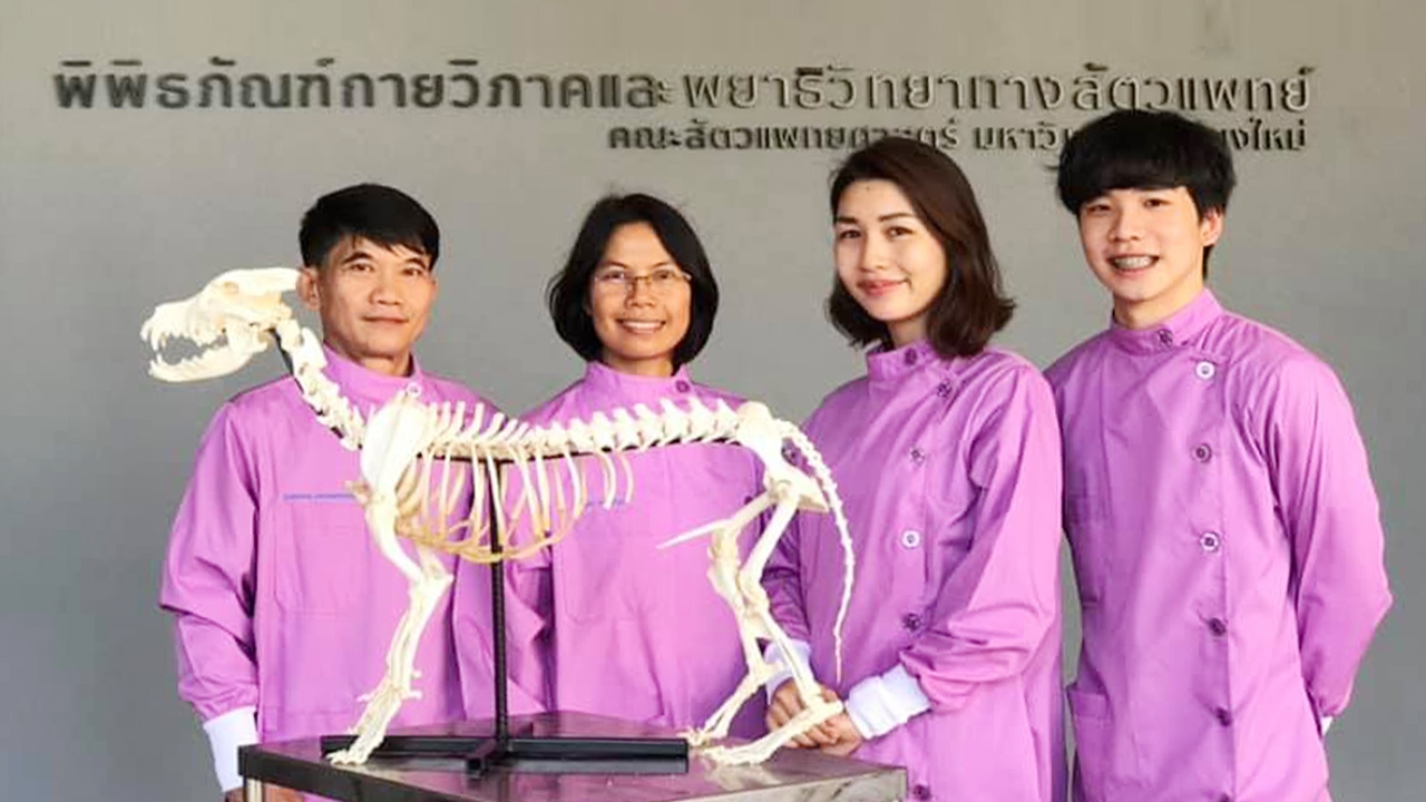 โครงกระดูก พี่เตี้ย มช. เข้าพิพิธภัณฑ์กายวิภาคฯ ให้ นศ.ได้เรียนรู้แล้ว