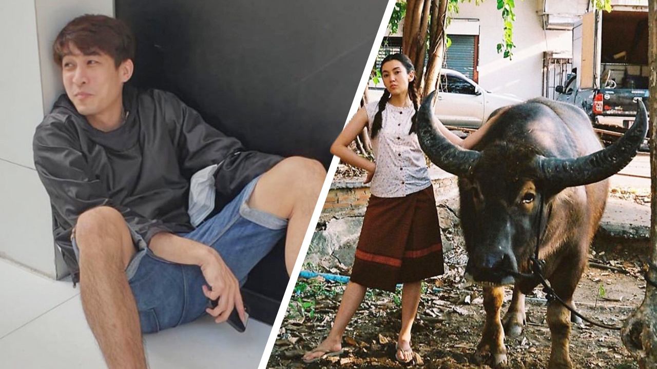 หมอก้อง แซว เบลล่า ถามในรูปมีควายกี่ตัว แต่เจอสวนกลับจี๊ดมากแม่ 