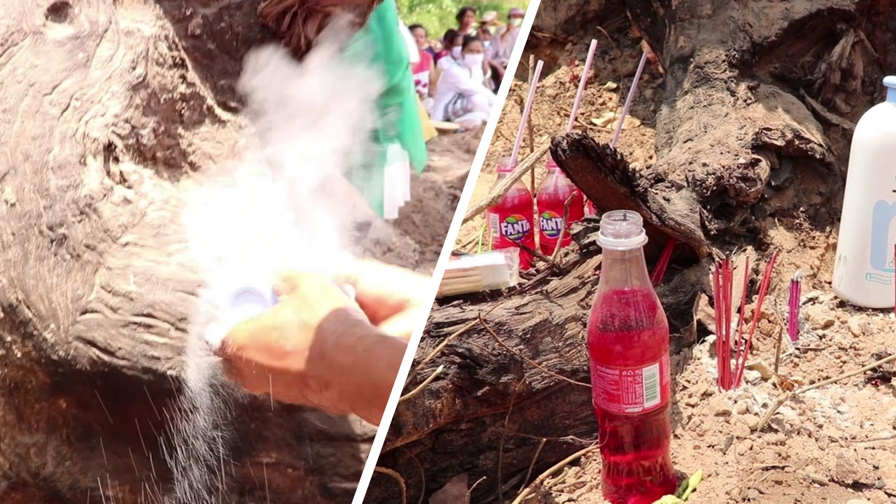 "ตะเคียนยักษ์" โผล่กลางหมู่บ้าน จุดธูปเห็นเลข 434 เชื่อมาให้โชค