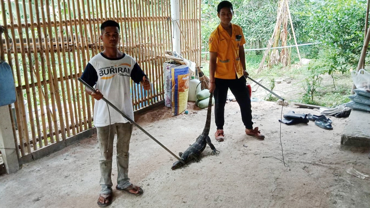 ยายวัย 67 ปี แทบช็อก เรียกแมวเข้าบ้าน ตัวเงินตัวทองกลับวิ่งเข้าแทน