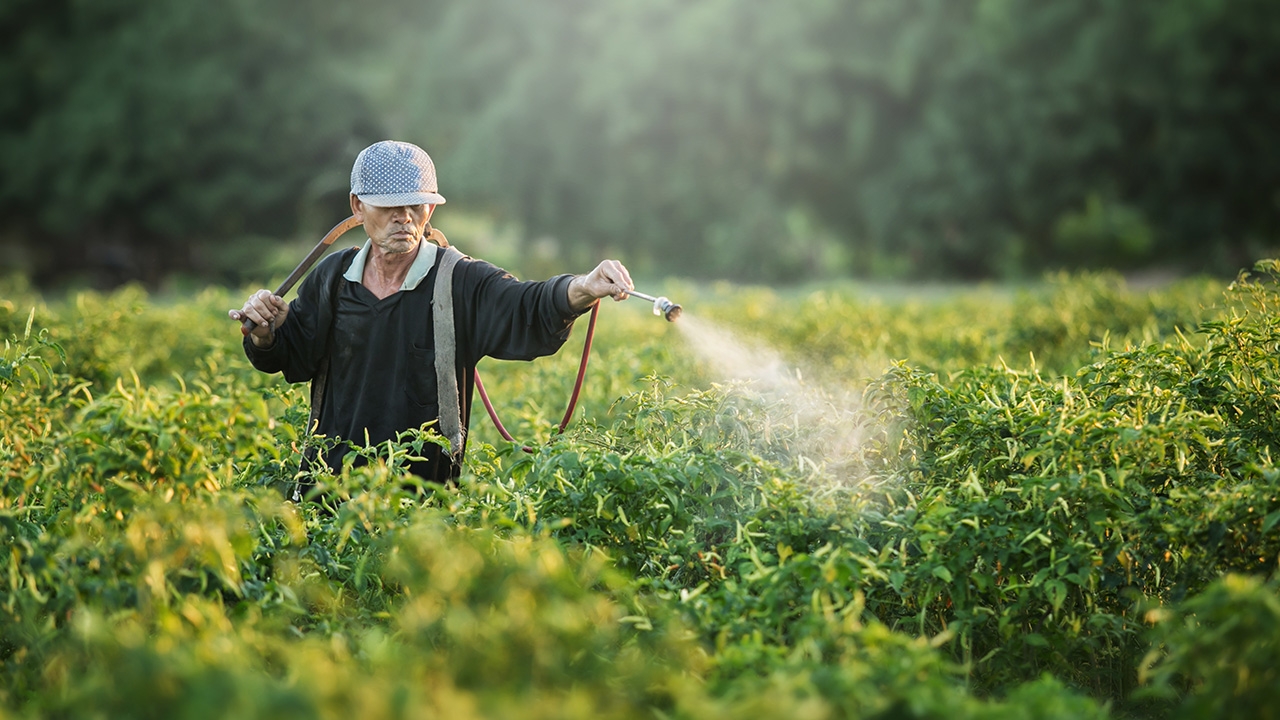 เกษตรกรปลูกพืช ช่วงมิ.ย. ขึ้นทะเบียนก่อน 15 พ.ค. รับสิทธิ์เงิน 15,000