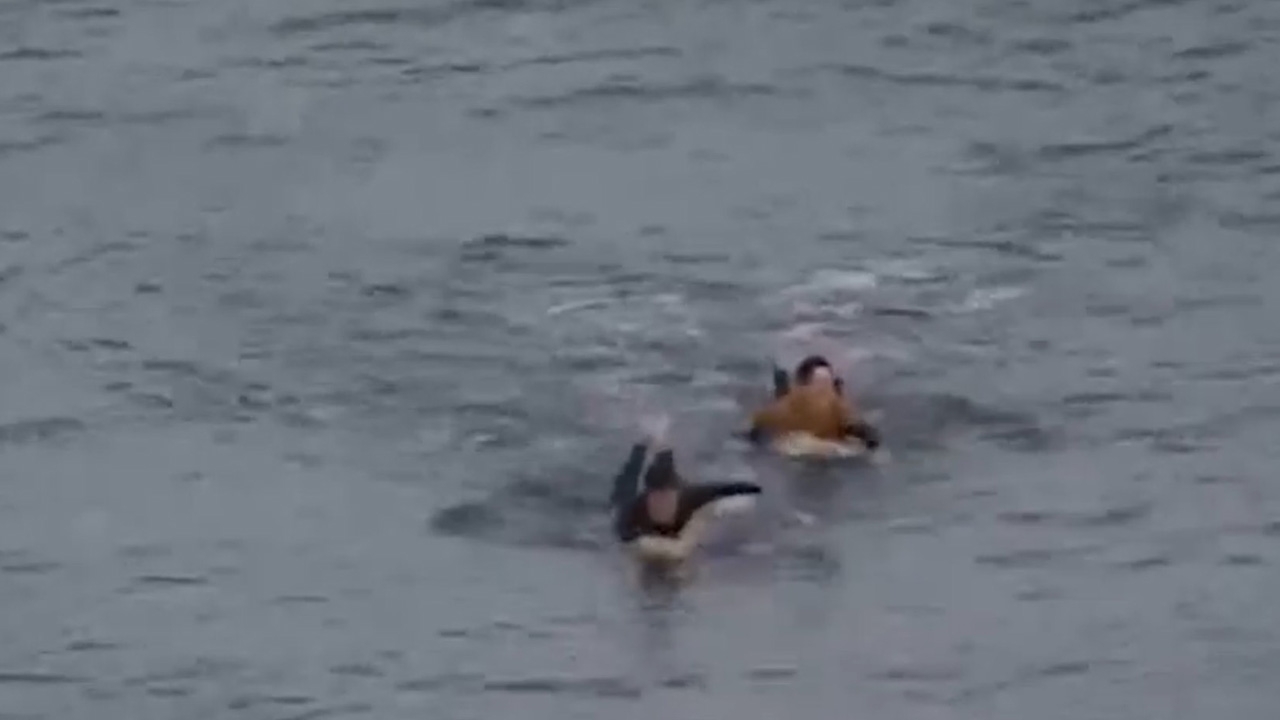 นาทีระทึก หนุ่มฝรั่งเศสหวิดโดนฉลามขย้ำ ชกสองหมัด หนีสุดชีวิตที่ออสเตรเลีย