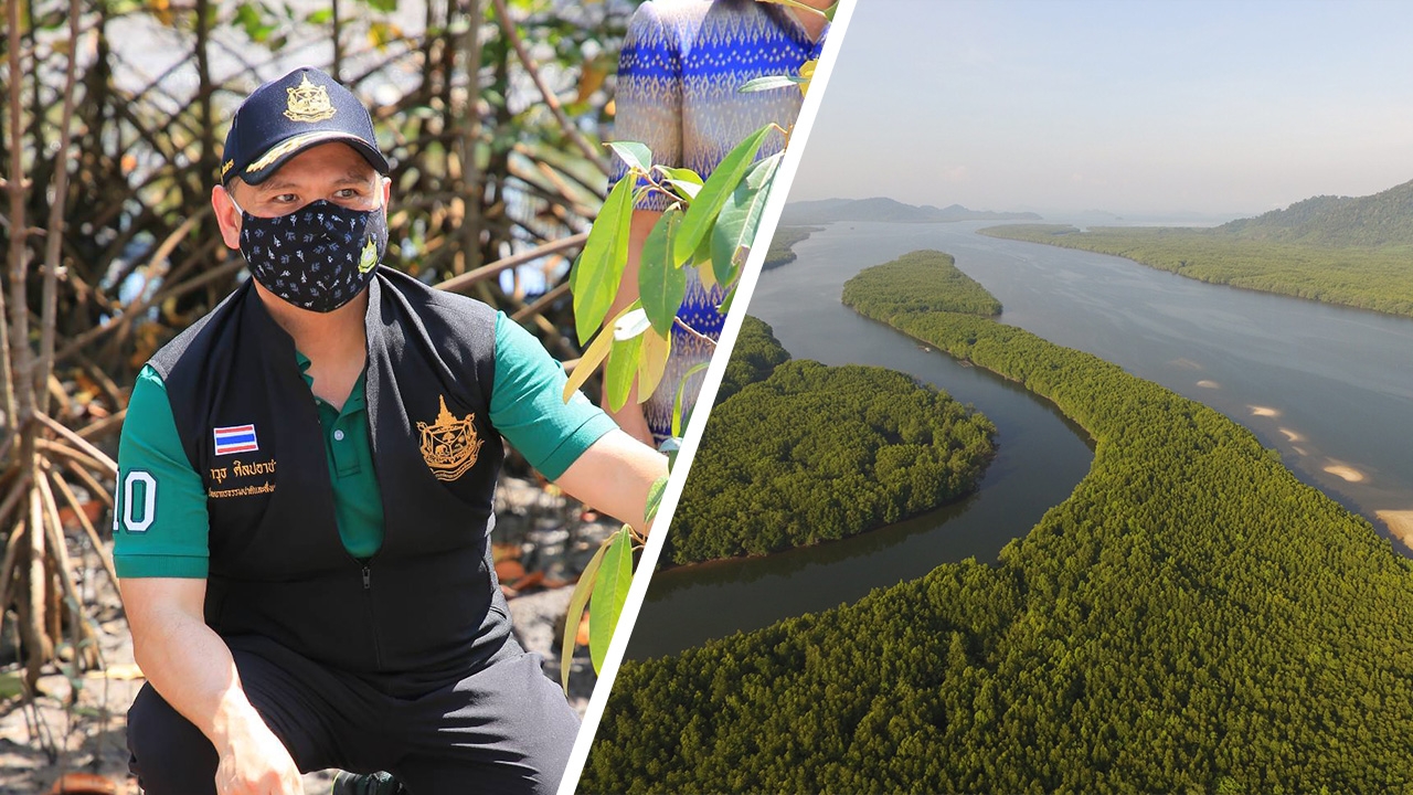 'วราวุธ' นำ ทส.น้อมรำลึก สืบสานพระราชดำริ ร.9 วันป่าชายเลนแห่งชาติ