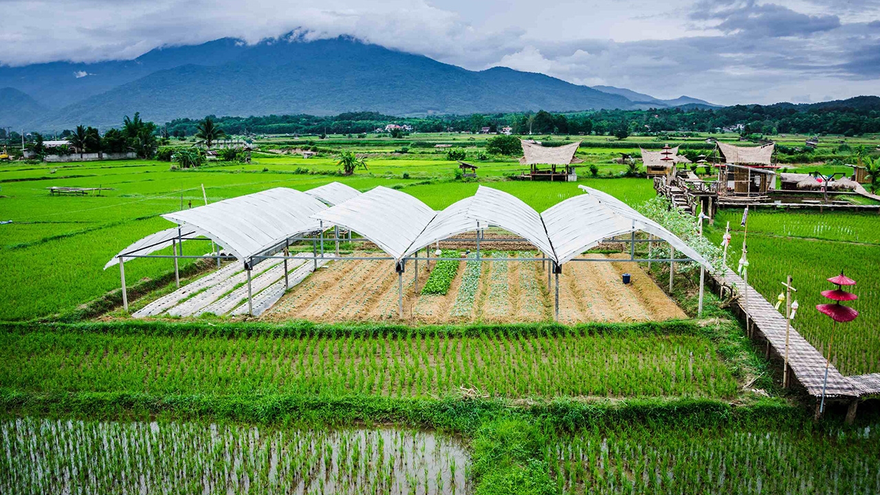 พบข้าราชการนับแสน ขึ้นทะเบียนเกษตรกรมีสิทธิ์รับ 5 พัน จ่อขอ ครม.ทวนสิทธิ์