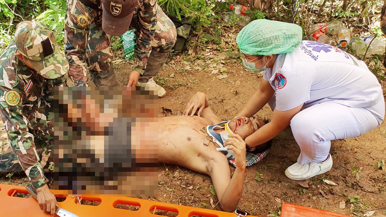 ช้างดุโผล่ออกจากป่ามาเตะ จนท.เขาอ่างฤาไน ขณะลาดตระเวนสาหัส