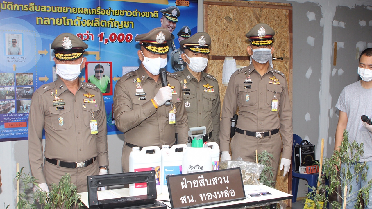 น.1 นำ สืบ บก.น.5 ทองหล่อ ทลายโกดังปลูกกัญชาข้ามชาติ ขายผ่านออนไลน์
