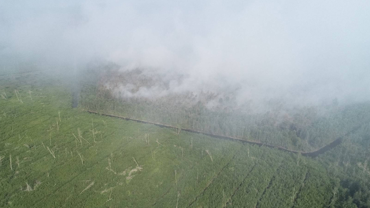 ไฟป่าพรุบาเจาะดับไปได้กว่า 60% หลังมีฝนตกมาช่วย คาดใช้เวลาอีก 2-3 วัน