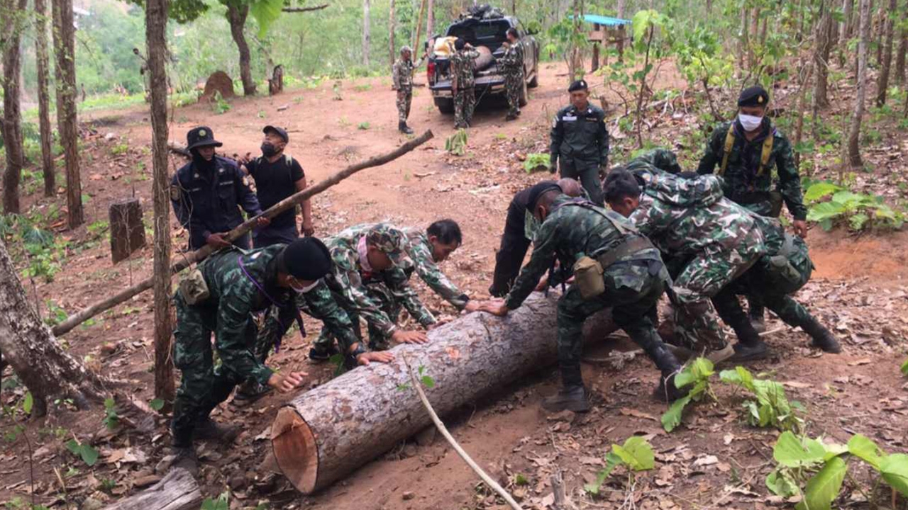  บุกยึดไม้เถื่อน สำนักสงฆ์ "หลวงพ่อปืนโหด" ยิงโยมดับถูกจับติดคุก