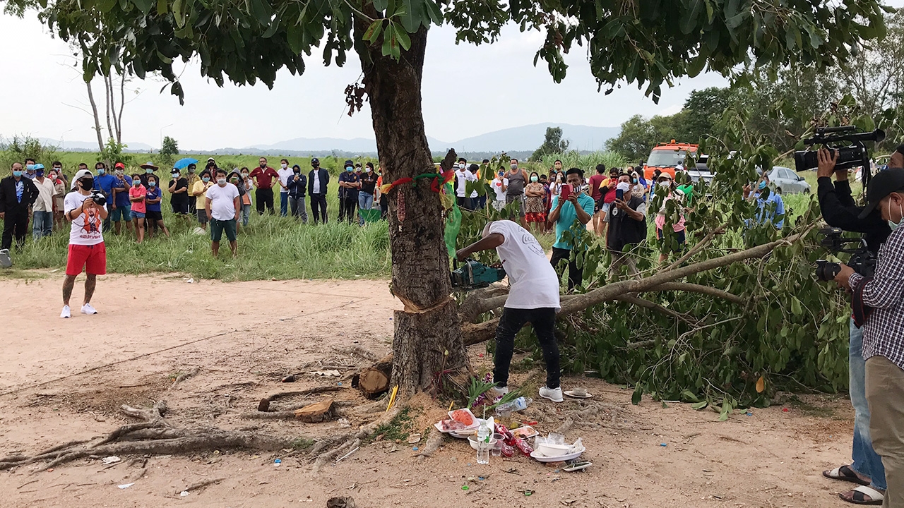 "หมอปลา" สยบ "ต้นหว้า" อาถรรพณ์ ตัดเหี้ยน โวยไม่เห็นผีสักตัว 