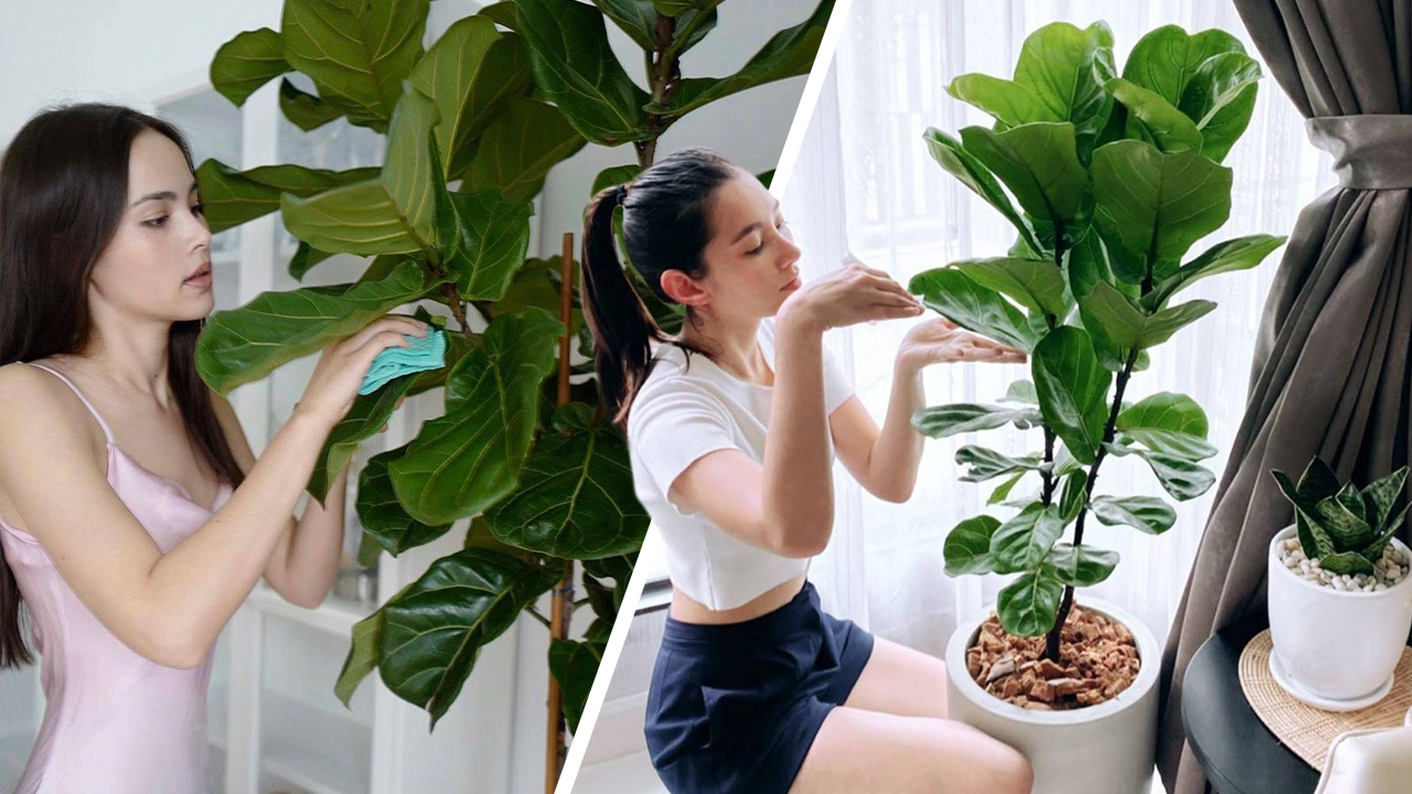 ฮาเบาๆ เบลล่า โพสต์ภาพเช็ดใบไม้ แต่แอบงงทำไมไม่สวยเหมือน ญาญ่า