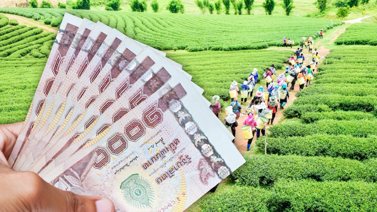 ตรวจสอบสิทธิ์ "เยียวยาเกษตรกร" เช้านี้หลายคนได้รับเงินเยียวยา 5,000 บาทแล้ว