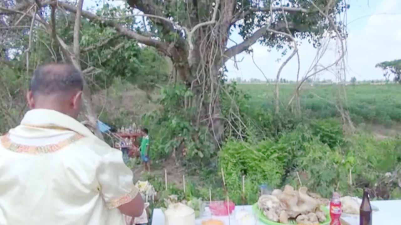 ย้าย "ต้นโพธิ์เฮี้ยน" เลขโผล่ตรงเป๊ะ คอหวยฮือฮา ส่องลุ้นงวดนี้ 